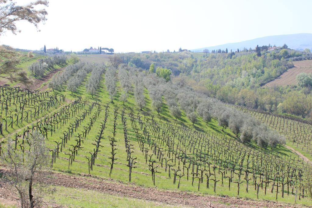 Bio Agriturismo Podere Pretoia サン・ジミニャーノ エクステリア 写真
