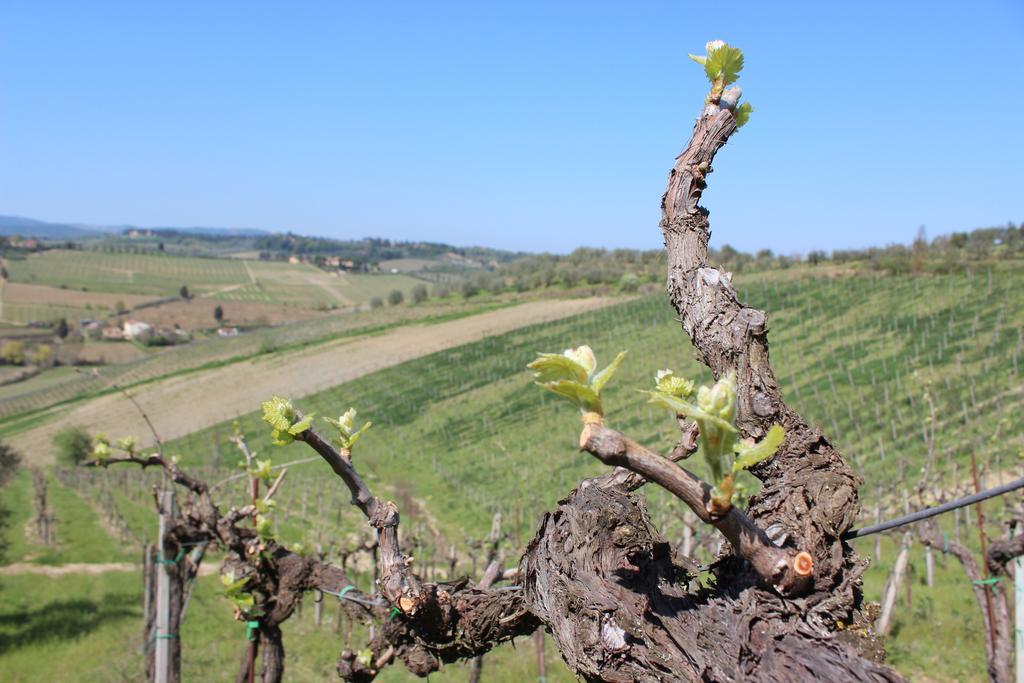 Bio Agriturismo Podere Pretoia サン・ジミニャーノ エクステリア 写真