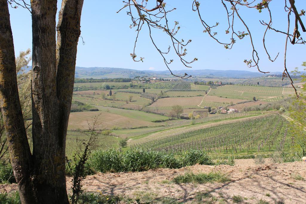 Bio Agriturismo Podere Pretoia サン・ジミニャーノ エクステリア 写真